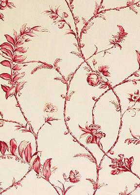 GP&J Baker - Solomon's Seal - Red - 8m